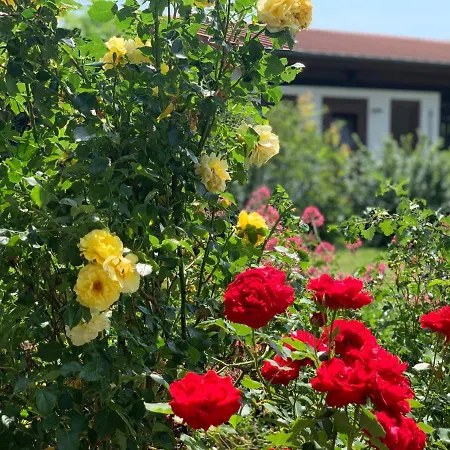 Aparthotel Ferienapartments Querleben