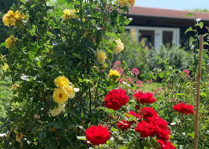 アパートホテル Ferienapartments Querleben